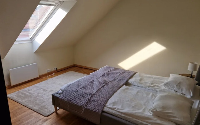 TyzenXL Luxury Vilnius Apartment