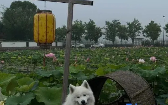 Tianbian Yoqi Homestay