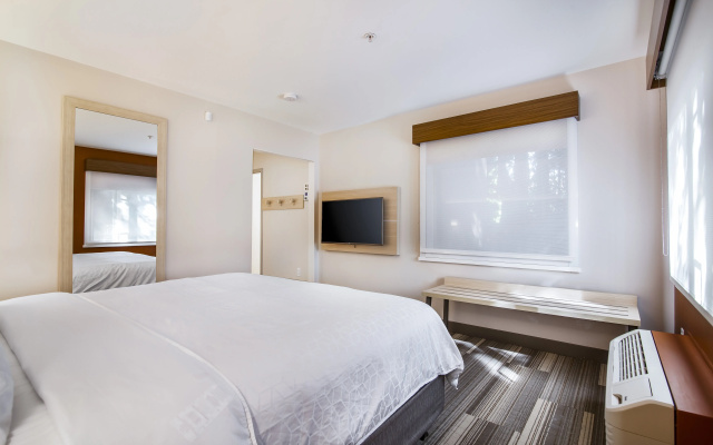 Holiday Inn Express & Suites Langley by IHG
