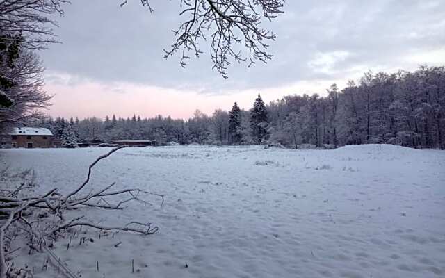 Les Ecureuils