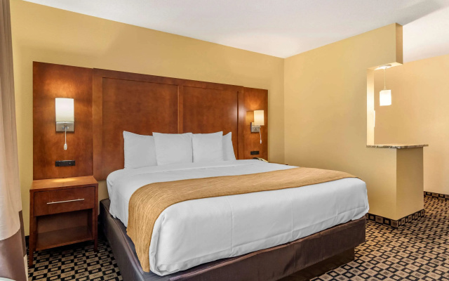 Comfort Inn & Suites Athens North