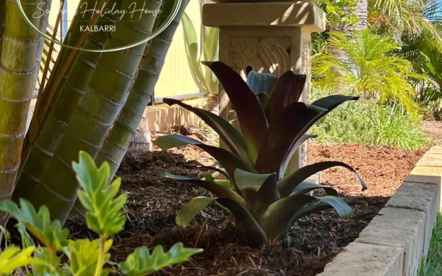Seashells Holiday House - Kalbarri