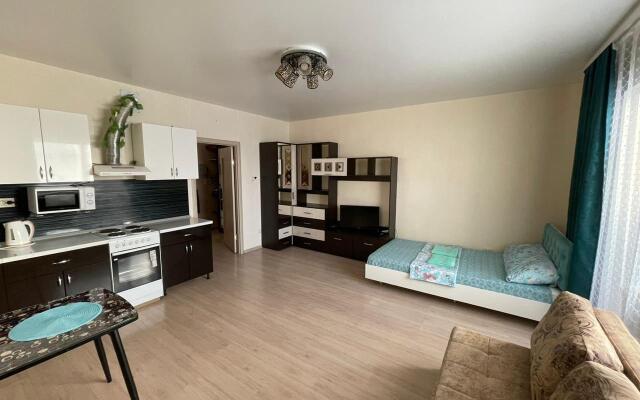 Апартаменты Домино на улице Анны Коньковой