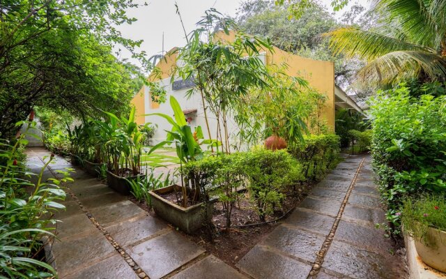 The Banyan Soul