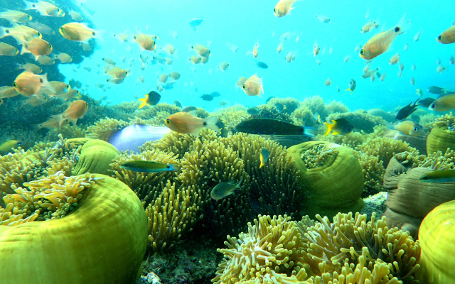 Victoria Cliff Nyaung Oo Phee Island