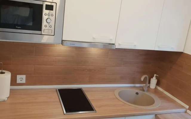 City apartment Anykščiai