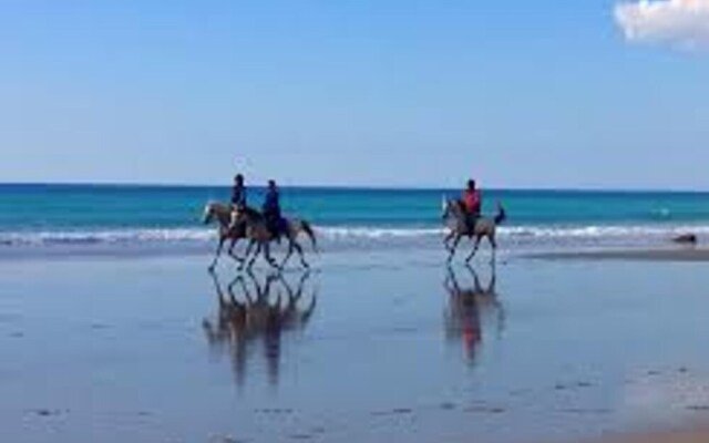 107125 - House in Zahara