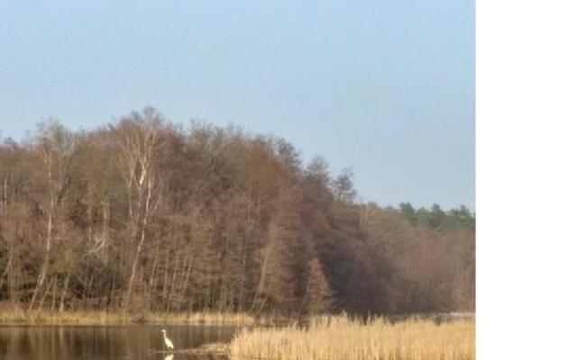 Pension & Gasthaus Kattenstieg