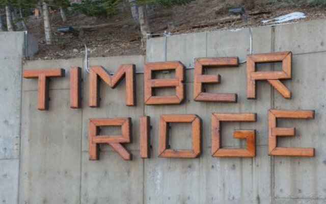 Timber Ridge # 11