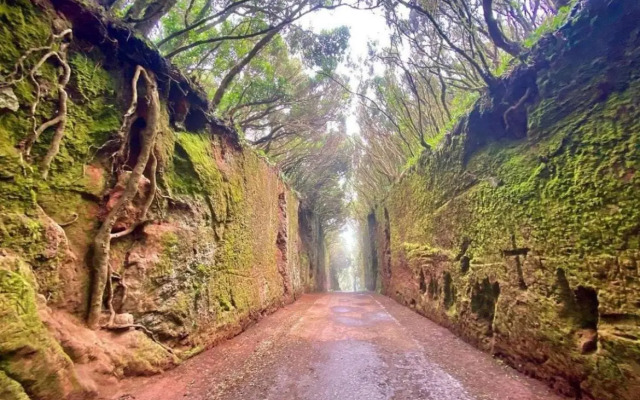 Oasis Penthouse in Santa Cruz by Edén Rentals