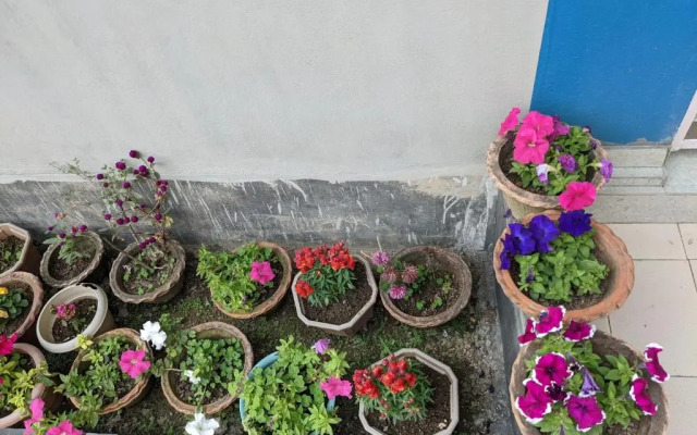 Nilachal Homes