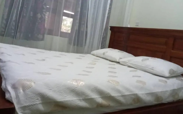 St. Patrick’s Forest House