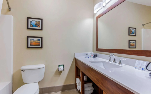 Comfort Inn & Suites McComb