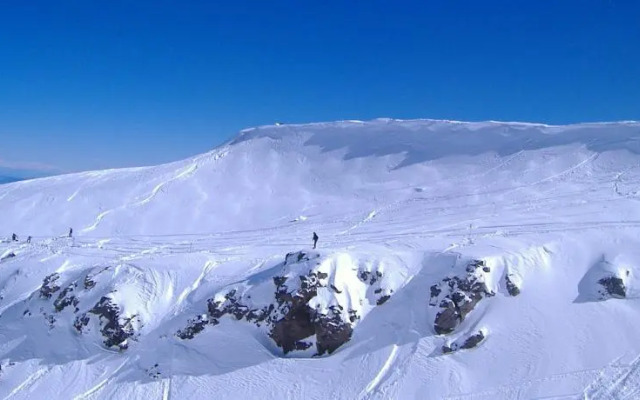 Alpine Backpackers Lodge