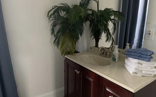 The Green House Gallery