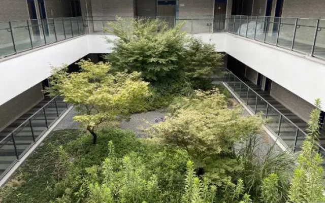 Holiday Inn Express Shanghai Tourism Zone