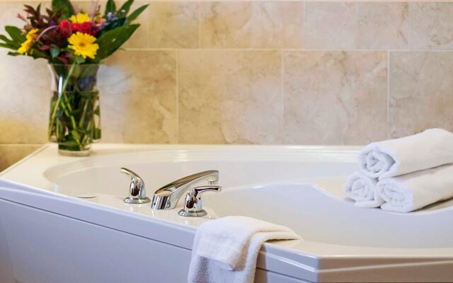 Comfort Hotel Airport