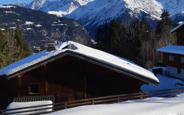 Apartment With View On The Mont Blanc