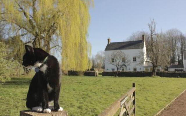 Llansabbath Country Farmhouse B&B