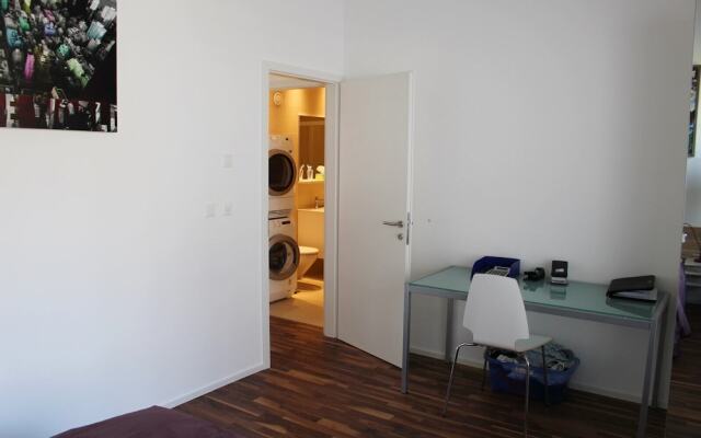 Superb Loft In The Center Of Lausanne