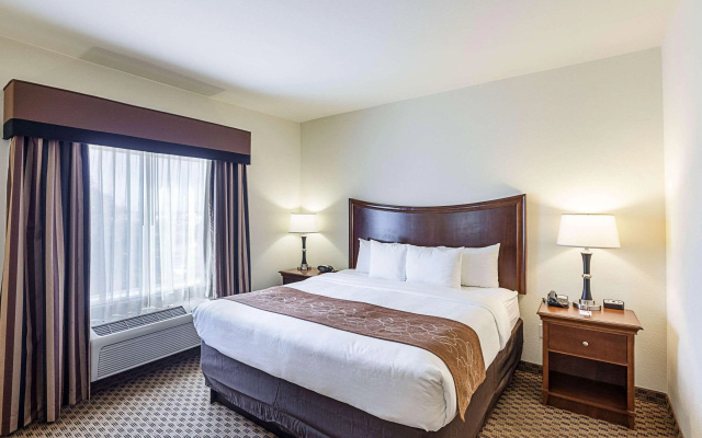 Comfort Suites San Antonio North - Stone Oak