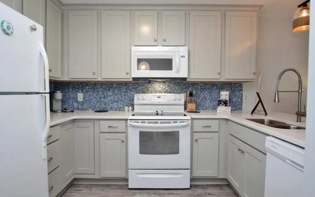 Sand Dollar by Youngs Suncoast