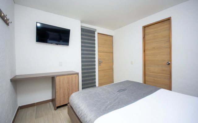 Novus Laureles