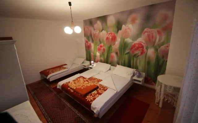 Apartment Grabrova