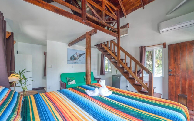 Green Parrot Beach Houses and Resort