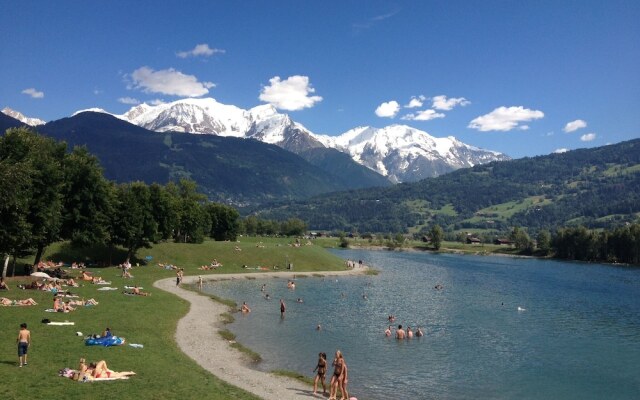 Fizhome Mt Blanc