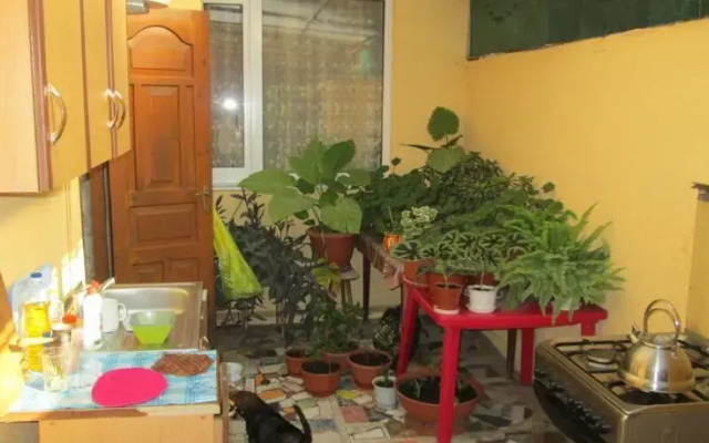 Guest House Veterok