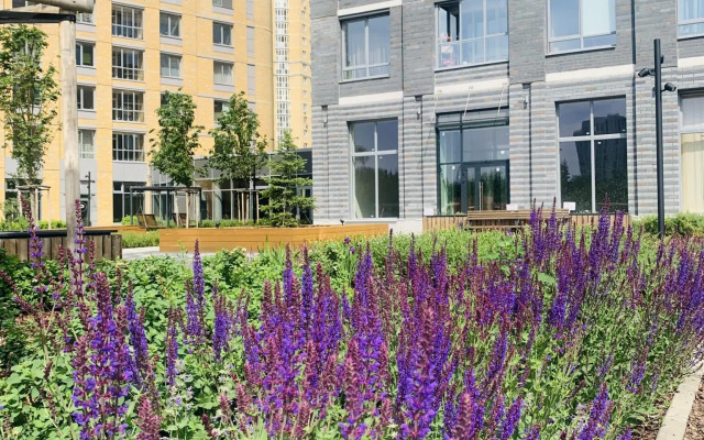 Апартаменты на улице Сурикова