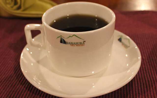 Banasura Hill Resort