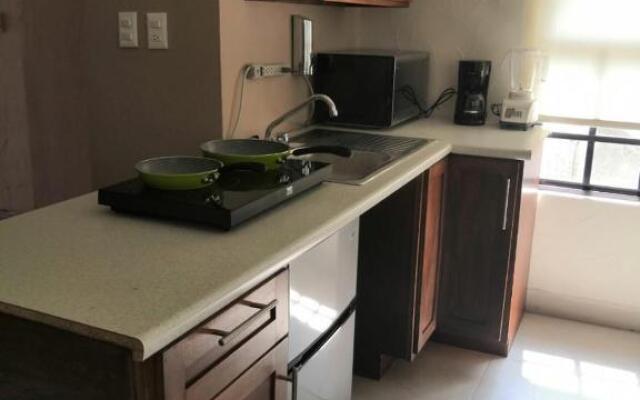 KIA - PESQUERIA - AEROPUERTO MONTERREY a