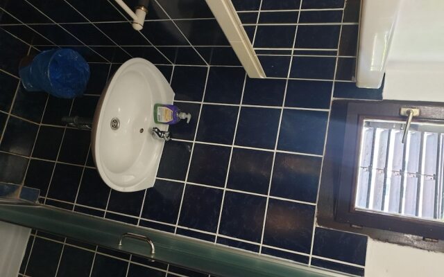 Apartment and Room Marica