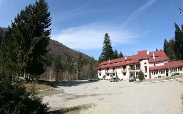 Pension Floarea Reginei