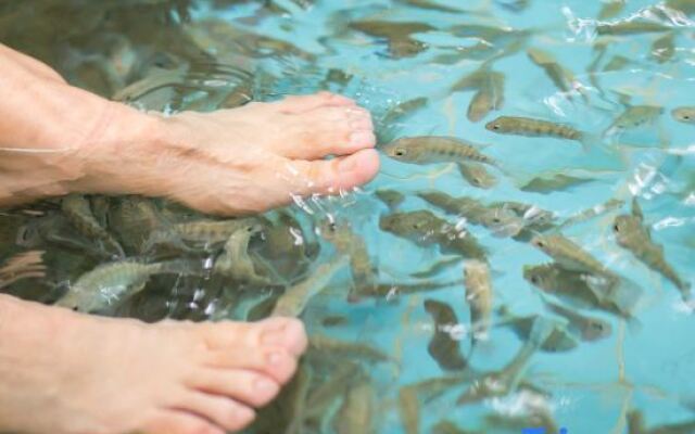 Yinji Huangdi Palace Yu Hot Spring Hotel (Animal Kingdom)