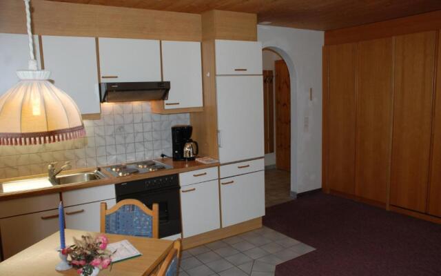 Appartment and Taxi Tirana