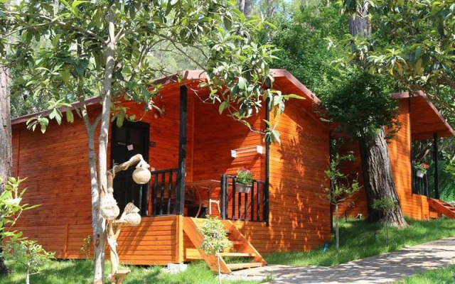 Robina Bungalov