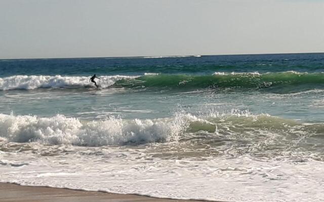 Magnifique T3 Vue Mer