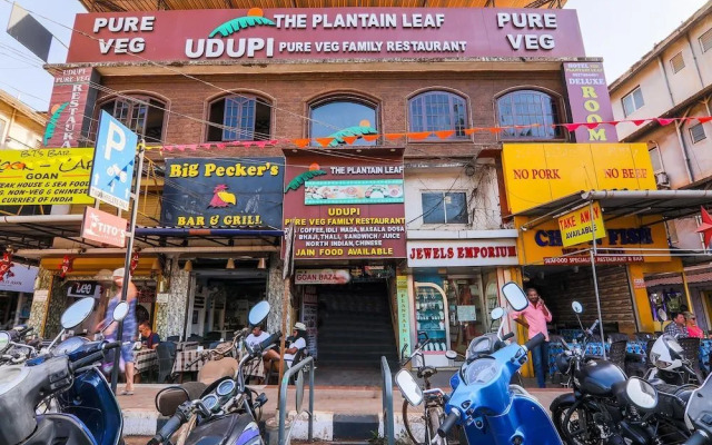 Plantain Leaf  Treebo