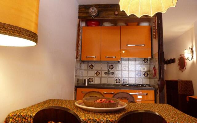 House Driade by Holiday World