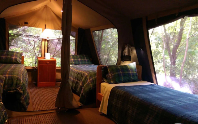 The Black Cockatoo Nannup