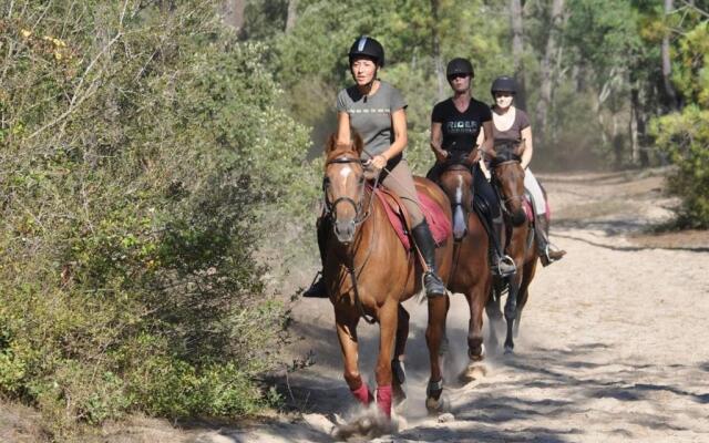 Appartement Saint-Jean-de-Monts, 2 pièces, 5 personnes - FR-1-323-44