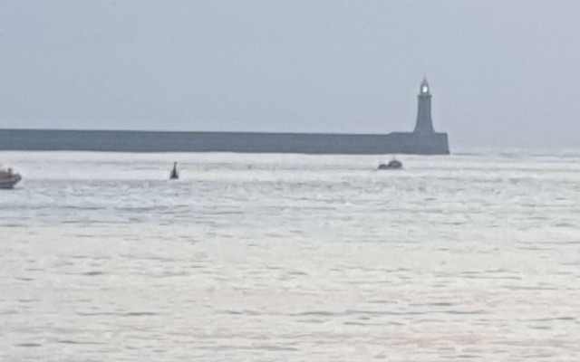 South Shield's Hidden Gem Amethyst 3 Bedroom House