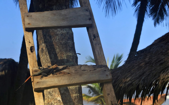 Beyin Eco Beach Camp