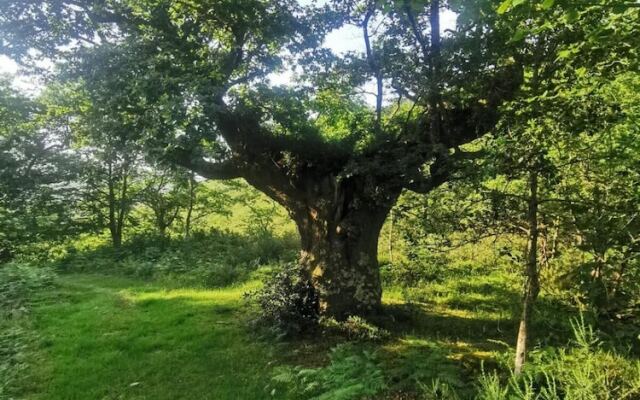 Posada Rural Peñasagra