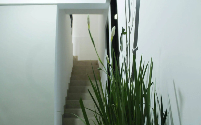 Hostel Be Condesa
