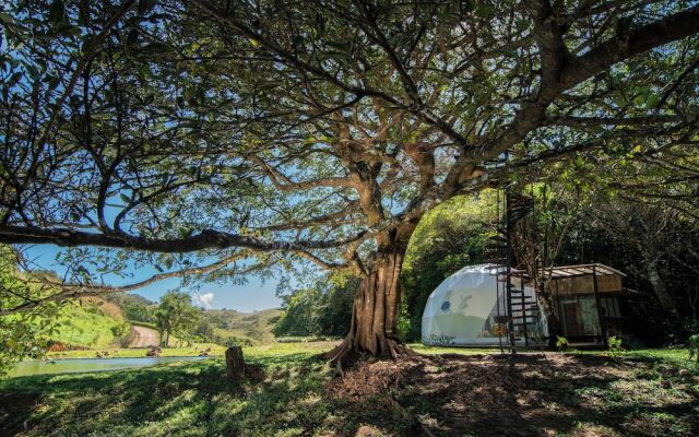 Nangú Glamping Experience