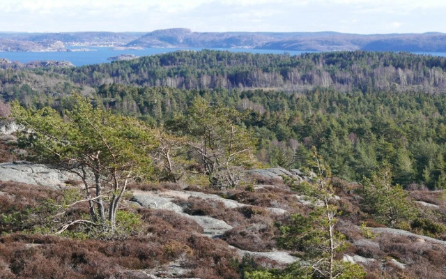 Lekanders Bär och Boende
